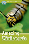 OXFORD READ & DISCOVER. LEVEL 3. AMAZING MINIBEASTS: AUDIO PACK