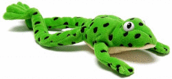 (PACK 10).READ WRITE INC.:FRED THE FROG TOY