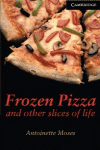 FROZEN PIZZA AND OTHER SLICES OF LIFE LEVEL 6
