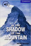 IN THE SHADOW OF THE MOUNTAIN LEVEL 5