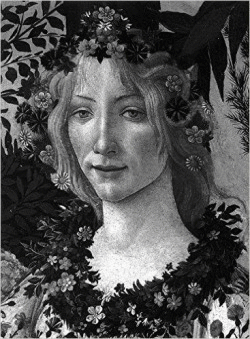 BOTTICELLI