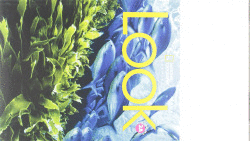 LOOK 3 A COMBO SPLIT