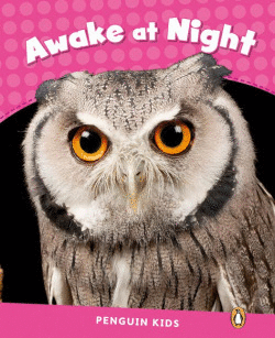 PENGUIN KIDS 2 AWAKE AT NIGHT READER CLIL