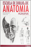 ESCUELA DE DIBUJO ANATOMA HUMANA