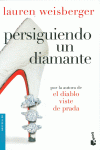 PERSIGUIENDO UN DIAMANTE