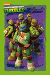 LAS TORTUGAS NINJA. CAJA METLICA