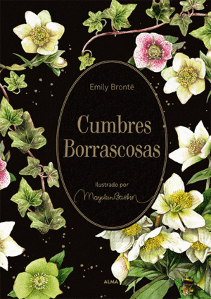CUMBRES BORRASCOSAS (COLECCIN JARDN SECRETO)
