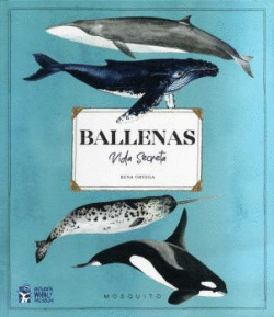 BALLENAS VIDA SECRETA