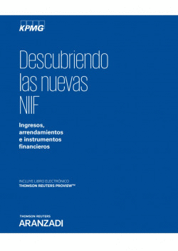 DESCUBRIENDO LAS NUEVAS NIIF (PAPEL + E-BOOK)