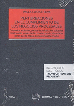 PERTURBACIONES EN EL CUMPLIMIENTO DE LOS NEGOCIOS PROCESALES