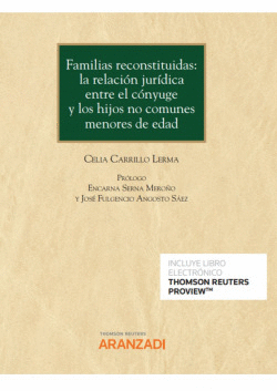 FAMILIAS RECONSTITUIDAS: LA RELACI�N JUR�DICA ENTRE EL C�NYUGE Y LOS HIJOS NO CO