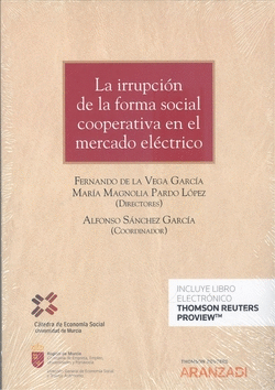 LA IRRUPCIN DE LA FORMA SOCIAL COOPERATIVA EN EL MERCADO ELCTRICO (PAPEL + E-B