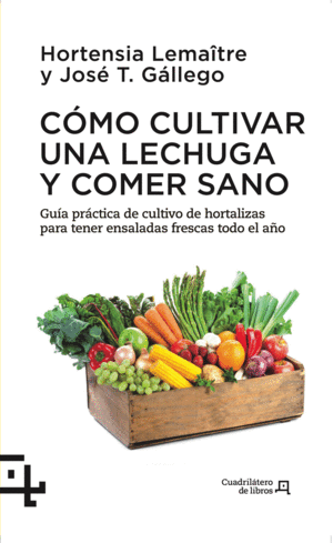 C�MO CULTIVAR UNA LECHUGA Y COMER SANO