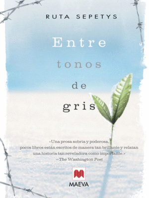 ENTRE TONOS DE GRIS