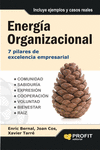 ENERG�A ORGANIZACIONAL