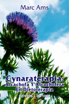 CYNARATERAPIA: ALCACHOFA Y ALCACHOFERA. EN DIETOTERAPIA