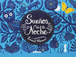 SUEOS EN LA NOCHE