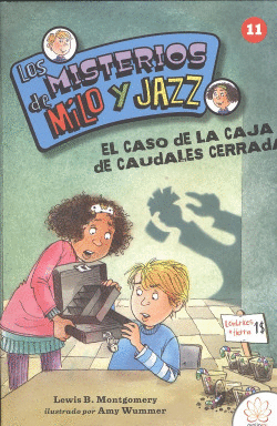 EL CASO DE LA CAJA DE CAUDALES CERRADA