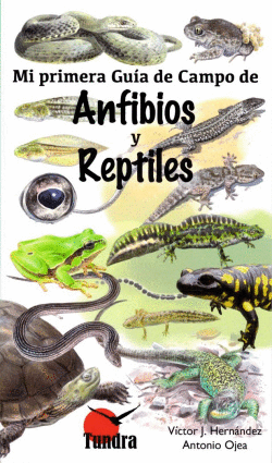 ANFIBIOS Y REPTILES