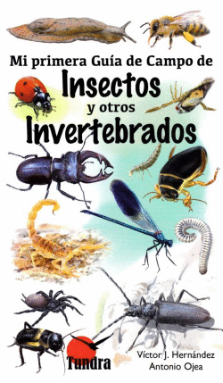INSECTOS Y OTROS INVERTEBRADOS