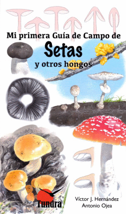 SETAS Y OTROS HONGOS