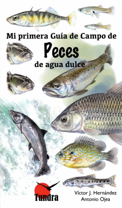 PECES DE AGUA DULCE