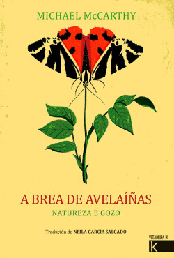 A BREA DE AVELA��AS