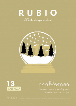 PROBLEMES 13