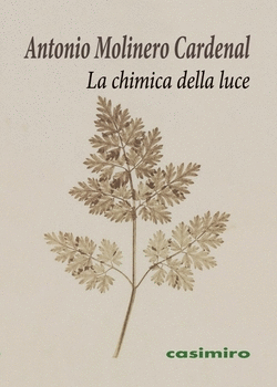 LA CHIMICA DELLA LUCE