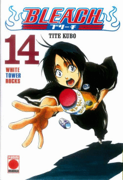BLEACH 14