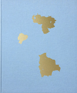 BUSCANDO A BOL�VAR