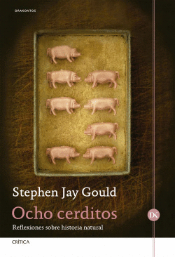 OCHO CERDITOS