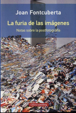 LA FURIA DE LAS IMGENES- RSTICA