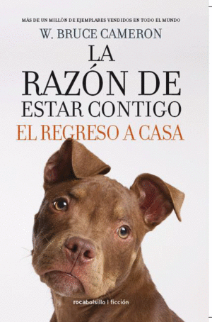 RAZON DE ESTAR CONTIGO, LA. EL REGRESO A CASA