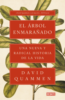 EL �RBOL ENMARA�ADO