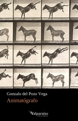 ANIMAT�GRAFO