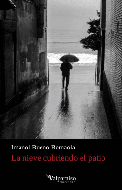 LA NIEVE CUBRIENDO EL PATIO