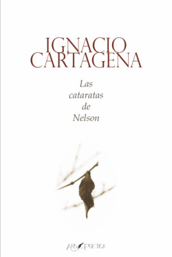 LAS CATARATAS DE NELSON