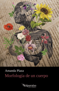 MORFOLOG�A DE UN CUERPO