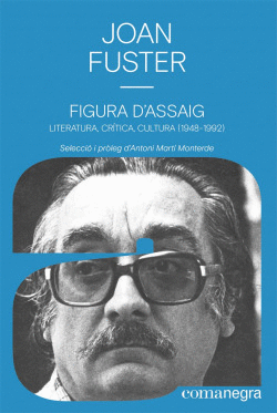 FIGURA D'ASSAIG