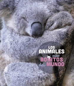 LOS ANIMALES M�S BONITOS DEL MUNDO