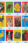 GRAN LIBRO DE ANIMALES