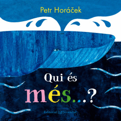 QUI S MES...?