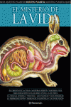 EL MISTERIO DE LA VIDA