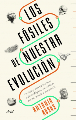 LOS F�SILES DE NUESTRA EVOLUCI�N
