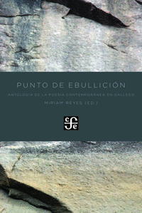 PUNTO DE EBULLICI�N