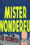 MISTER WONDERFUL