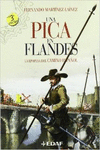 UN PICA EN FLANDES