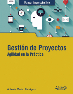 GESTIN DE PROYECTOS