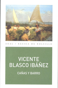 CA�AS Y BARRO